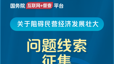 saobi软件国务院“互联网+督查”平台公开征集阻碍民营经济发展壮大问题线索